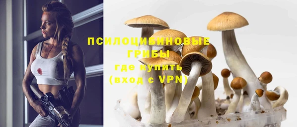 спиды Карталы